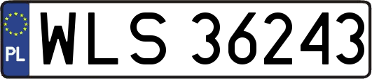 WLS36243