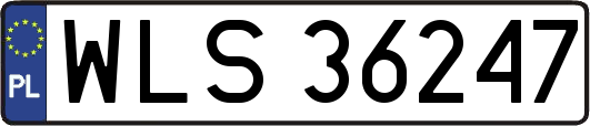 WLS36247
