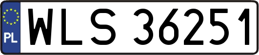 WLS36251