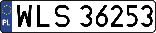 WLS36253