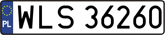 WLS36260