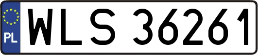 WLS36261