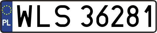WLS36281