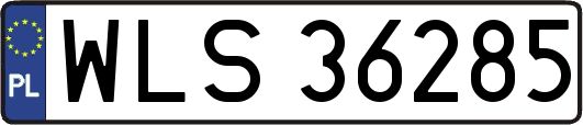 WLS36285