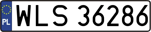 WLS36286