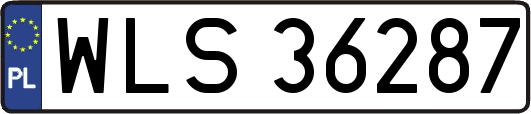 WLS36287