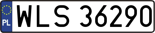 WLS36290