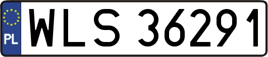 WLS36291