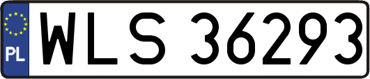 WLS36293
