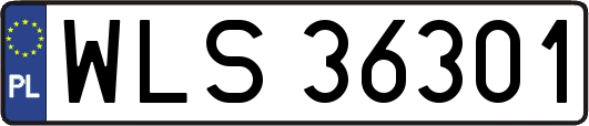 WLS36301