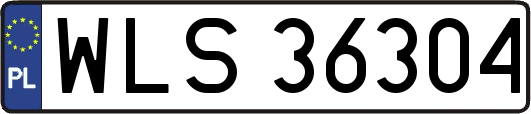 WLS36304