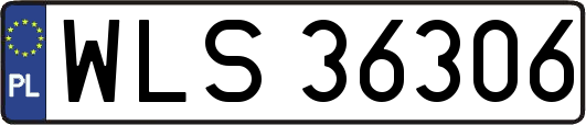 WLS36306
