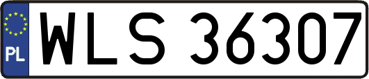 WLS36307