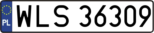 WLS36309