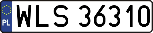 WLS36310