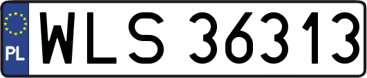 WLS36313