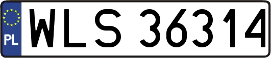 WLS36314