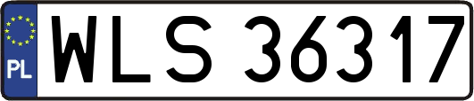 WLS36317