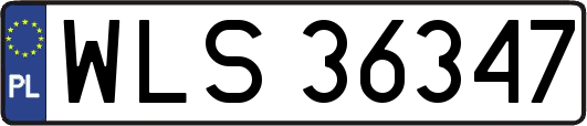 WLS36347