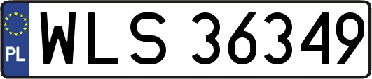 WLS36349