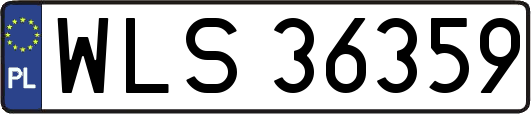 WLS36359