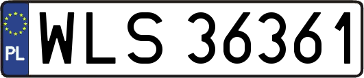 WLS36361