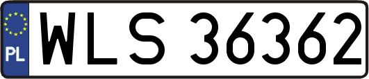 WLS36362