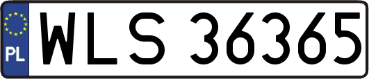 WLS36365