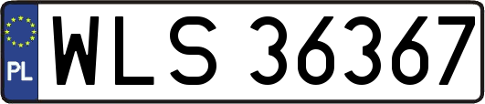 WLS36367
