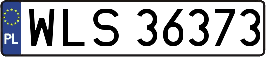 WLS36373