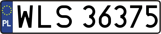 WLS36375