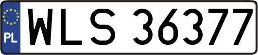 WLS36377