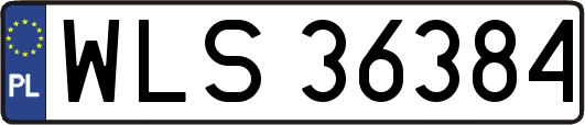 WLS36384