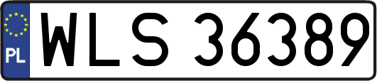 WLS36389