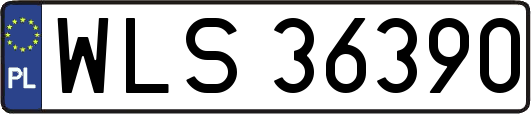 WLS36390