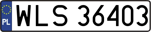 WLS36403