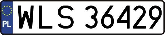WLS36429