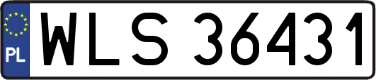 WLS36431
