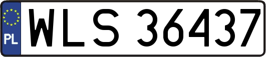 WLS36437