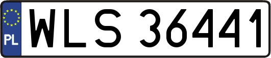 WLS36441