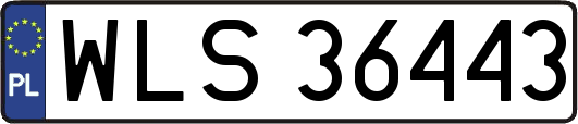 WLS36443