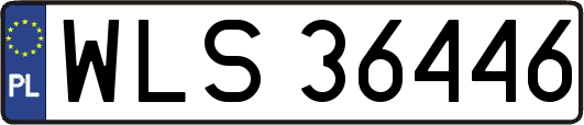 WLS36446