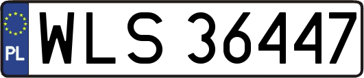 WLS36447