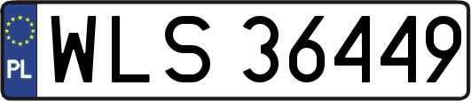WLS36449
