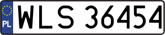 WLS36454