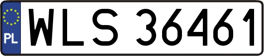 WLS36461