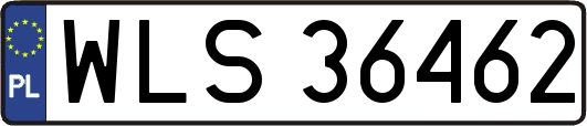 WLS36462
