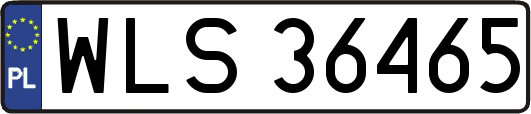 WLS36465