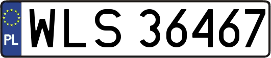 WLS36467