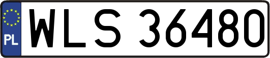 WLS36480